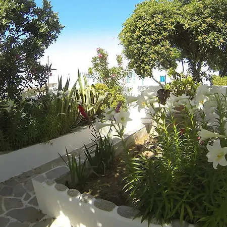 بيت ضيافة Kavaki